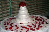 Click Picture to See Slideshow