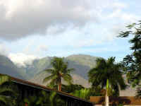 03maui001.jpg (39282 bytes)