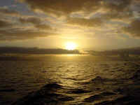 03maui012.jpg (36651 bytes)