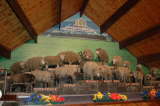Click Picture to See Slideshow