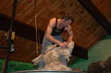 Click Picture to See Slideshow