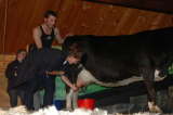 Click Picture to See Slideshow
