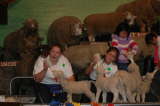 Click Picture to See Slideshow