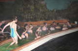 Click Picture to See Slideshow