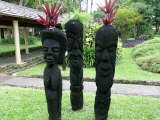Click Picture to See Slideshow