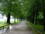 Click Picture to See Slideshow