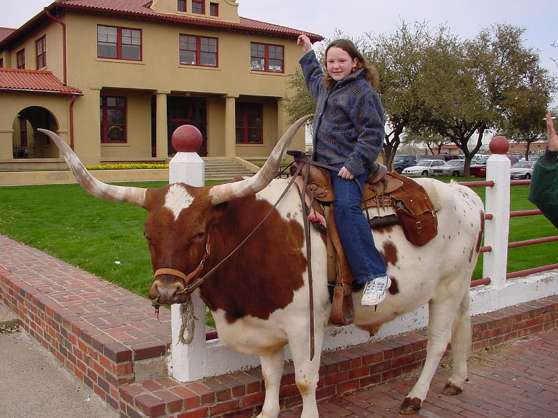 DSC00800.JPG - 2001 - Stockyards, Fort Worth, TX - Stephanie (Ag taming a longhorn)