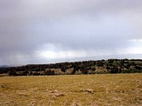 1997CedarBreaks006
