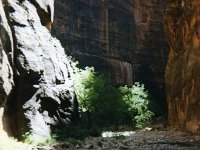 1997ZionNP042