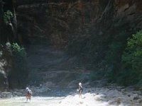 1997ZionNP045