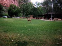 1997ZionNP048