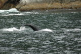 Click Picture to See Slideshow