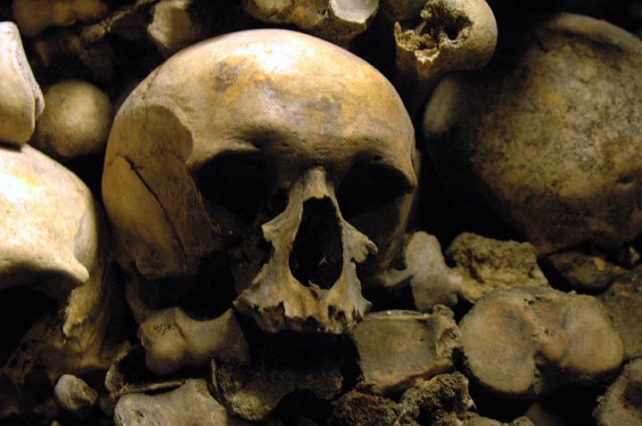 2007catacombs05.jpg